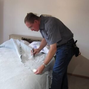 Mississauga Ontario pest control