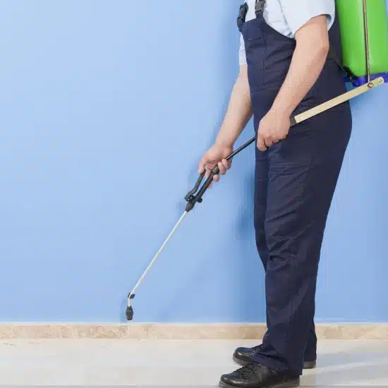 Pest Exterminator Cost