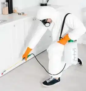 Introduces Pest Control Services and exterminator cost in 2025