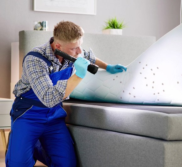 Effective Bed Bug Extermination Services Near You