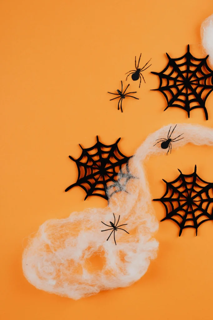 Get Rid of Spiders in Your Home with BP Pest Control Services