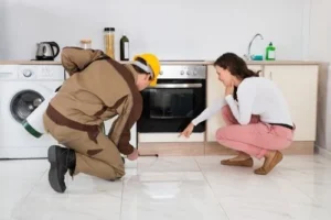 Ant Exterminator Near Me