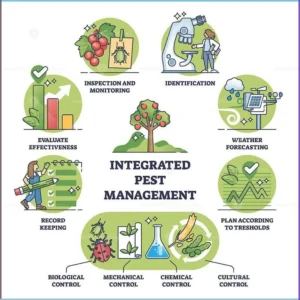 Commercial Pest Management