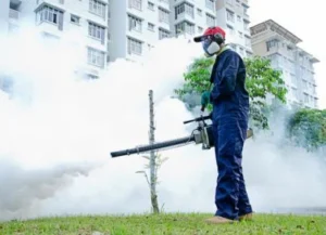 Pest Treatment Services Brampton