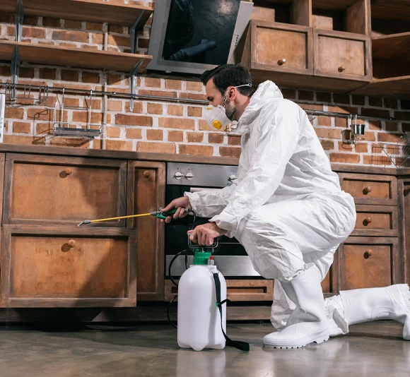 Bed Bug Treatment near me