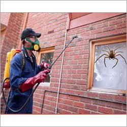 Mouse Rodent Control