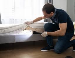Bed Bug Removal in Toronto