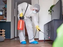 Control Service Pest