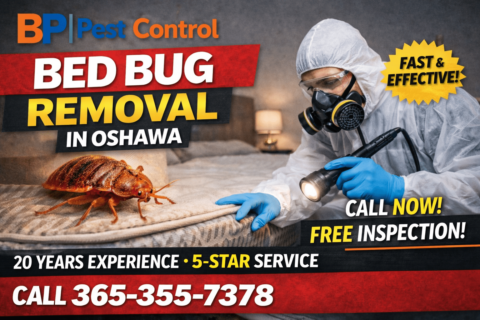 Oshawa Bed Bugs: Complete & Proven Removal Guide for Homeowners