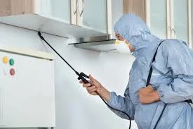 Commercial Pest Control in Toronto