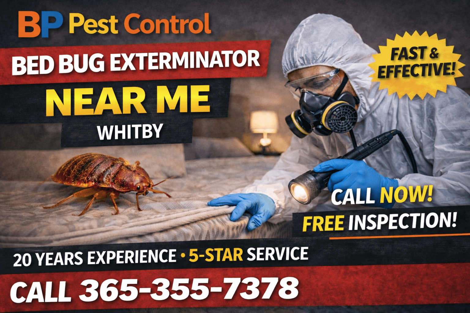 Bed bug exterminator near me Whitby service by BP Pest Control showing technician inspecting mattress with bed bugs, phone number and 5-star rating.