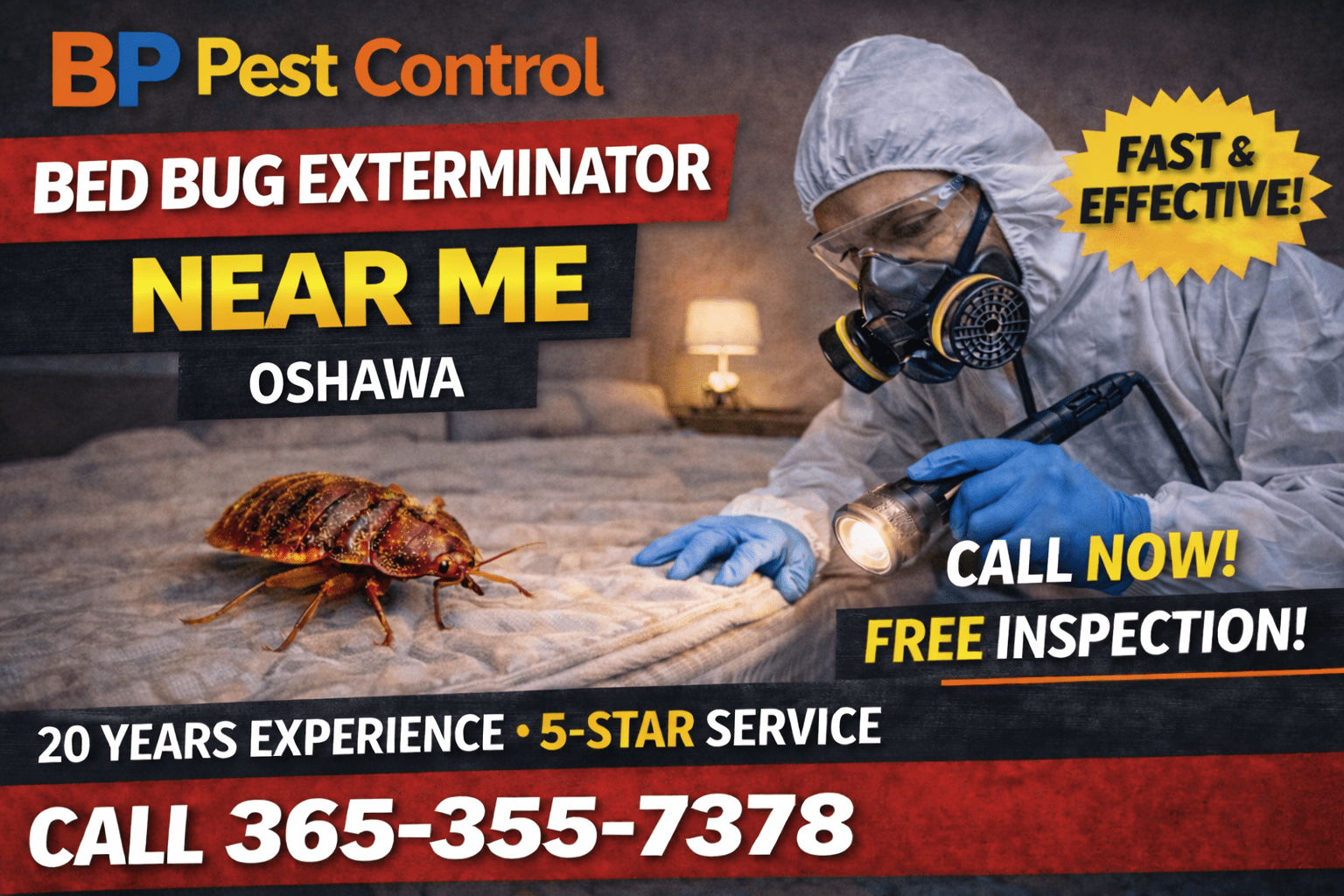 Bed bug exterminator near me Oshawa service by BP Pest Control showing technician inspecting mattress with bed bugs, phone number and 5-star rating.