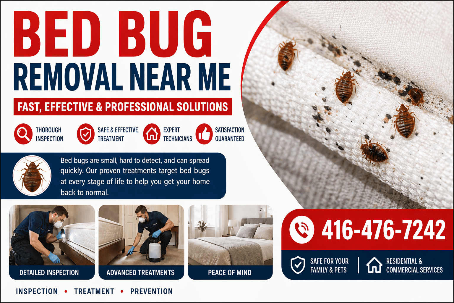 bed bug removal near me close up of bed bugs on mattress seam with visible infestation