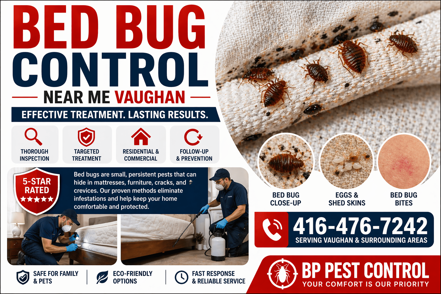 bed bug control near me Vaughan close up of bed bugs on mattress seam with visible infestation