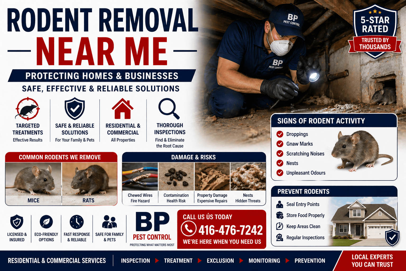 rodent removal near me mouse inside kitchen cabinet with food contamination