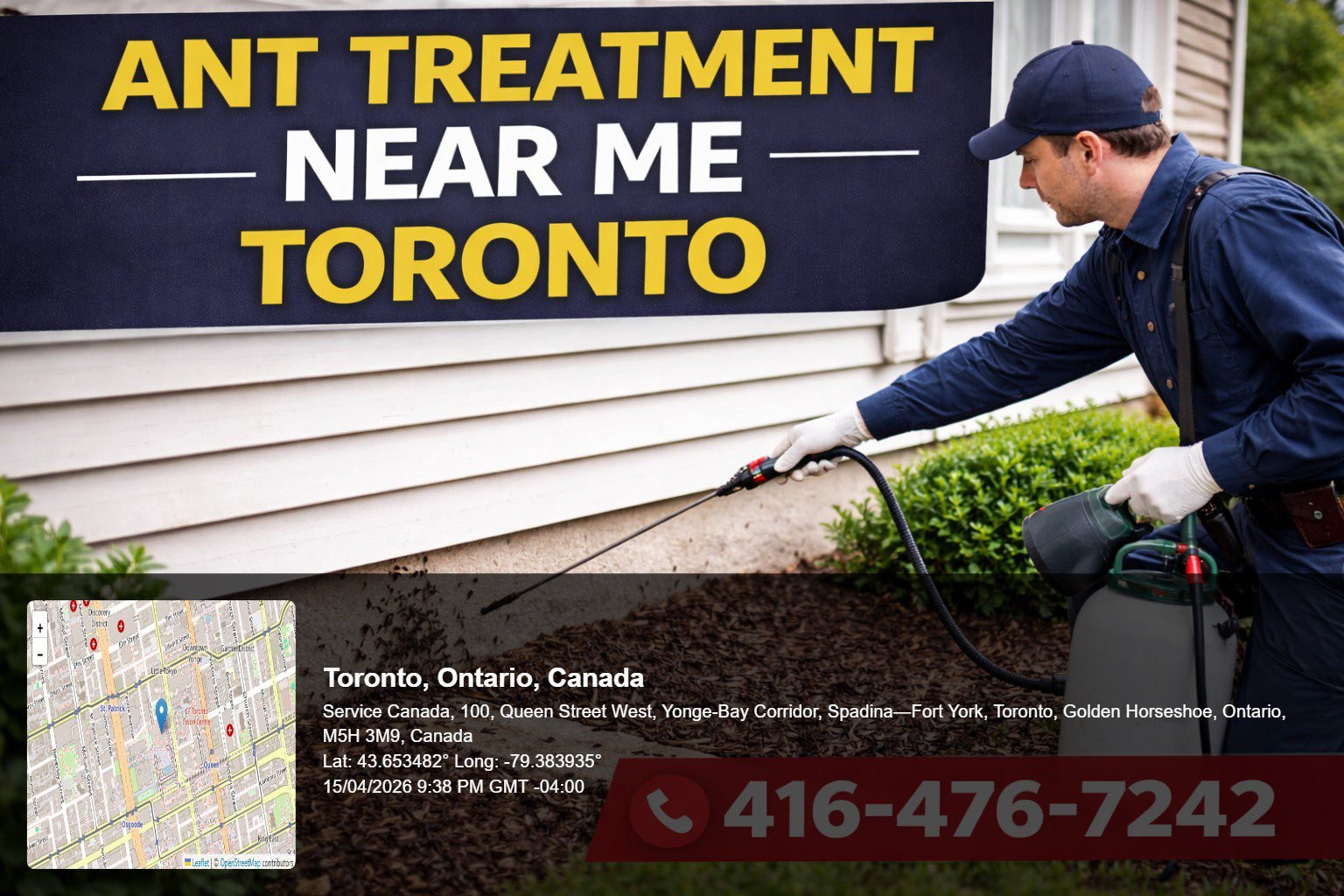 ant treatment near me Toronto technician spraying home exterior with ants visible near foundation