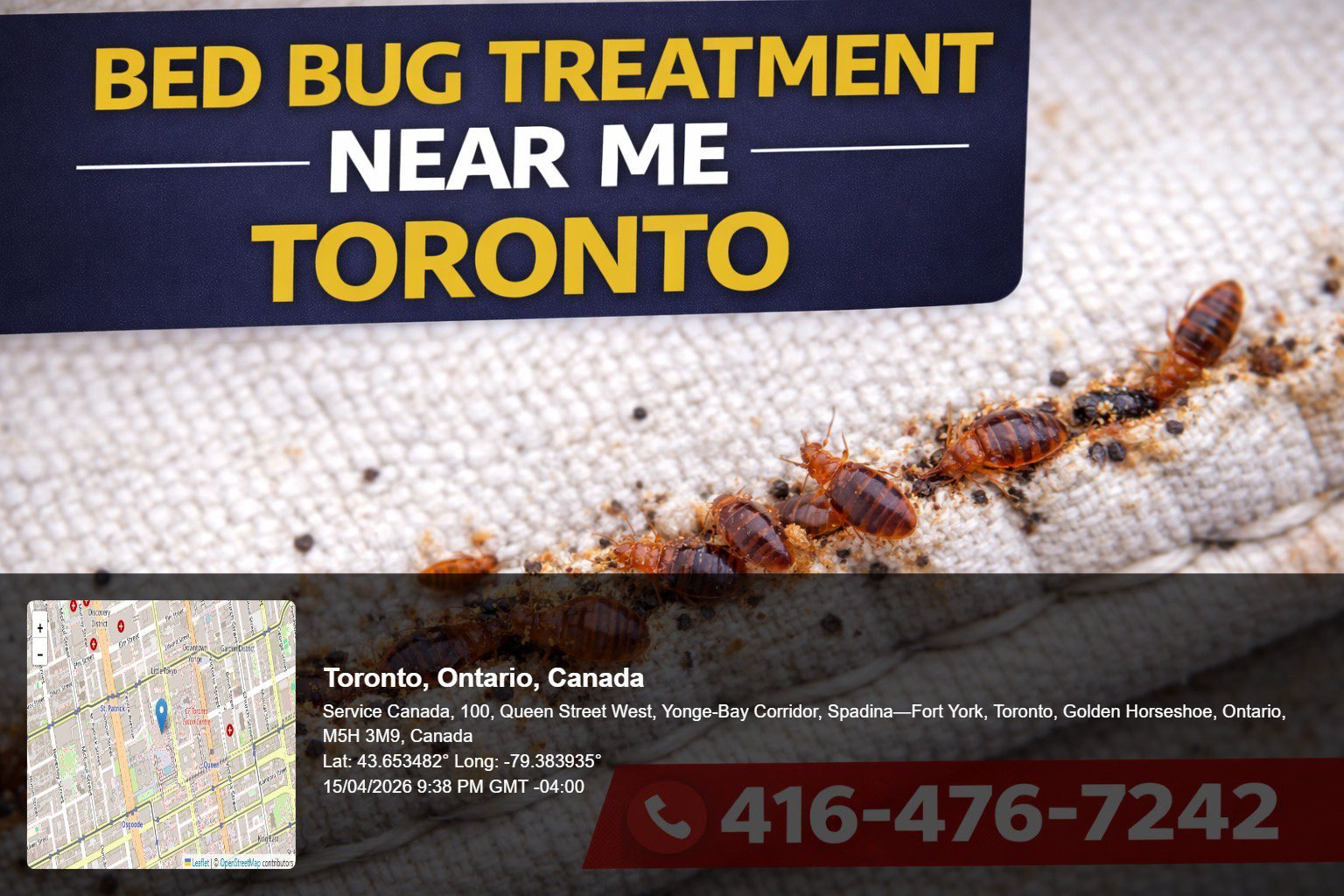 bed bug treatment near me Toronto close up of bed bugs on mattress seam with visible infestation