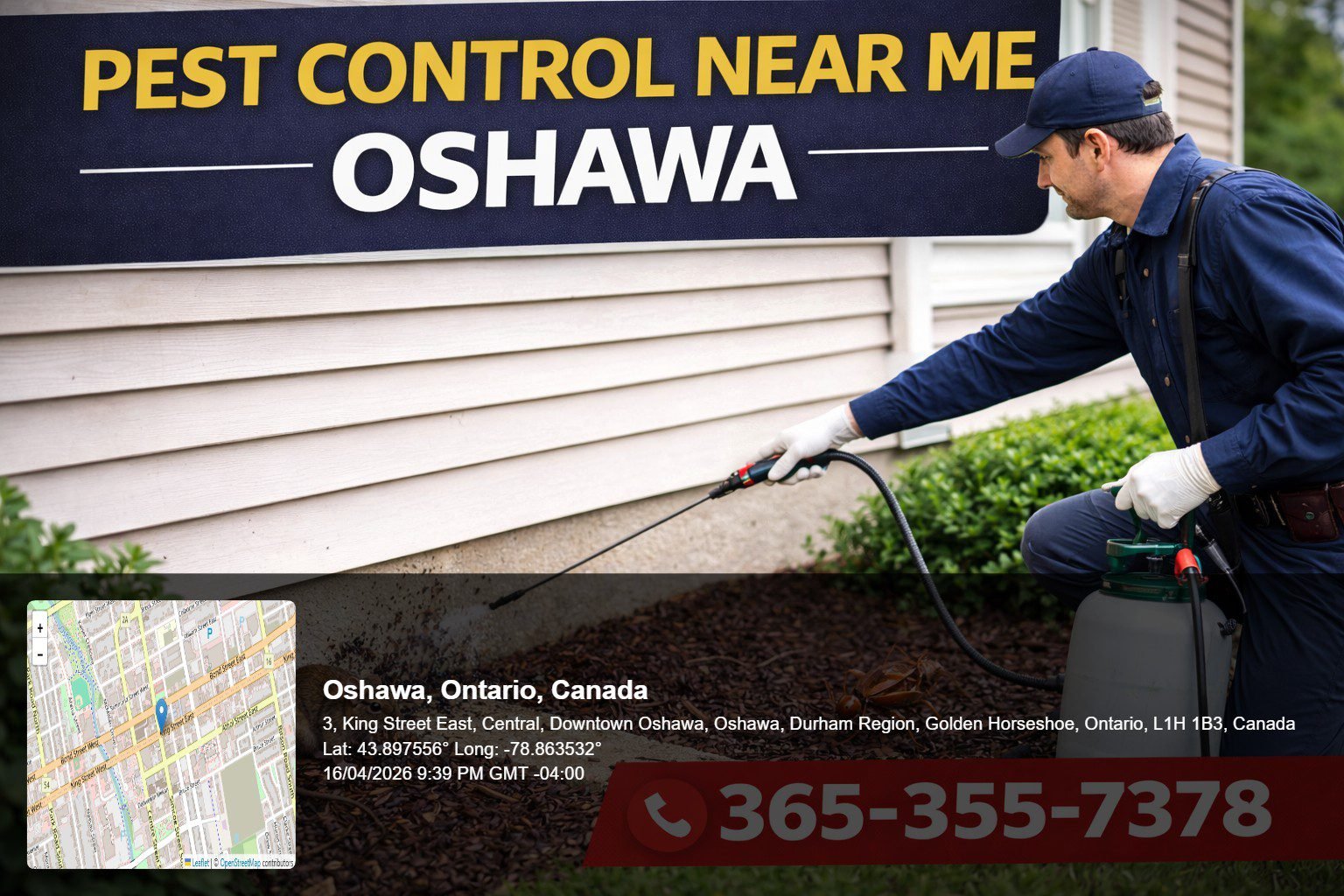pest control near me Oshawa technician spraying home exterior with rodents and insects near foundation