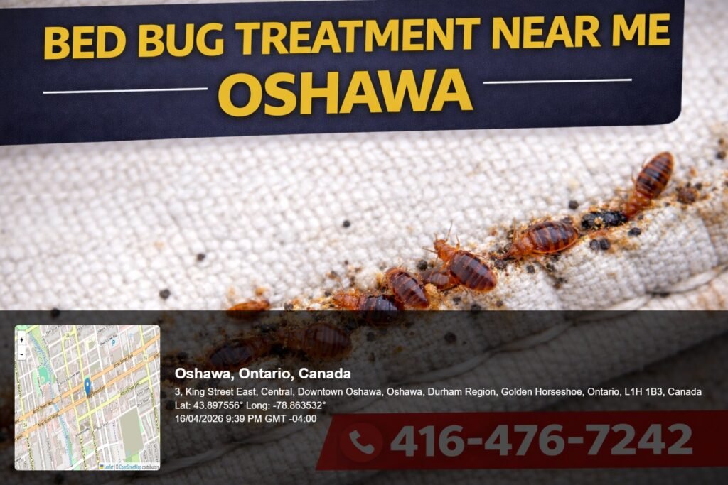bed bug treatment near me Oshawa close up of bed bugs on mattress seam with visible infestation