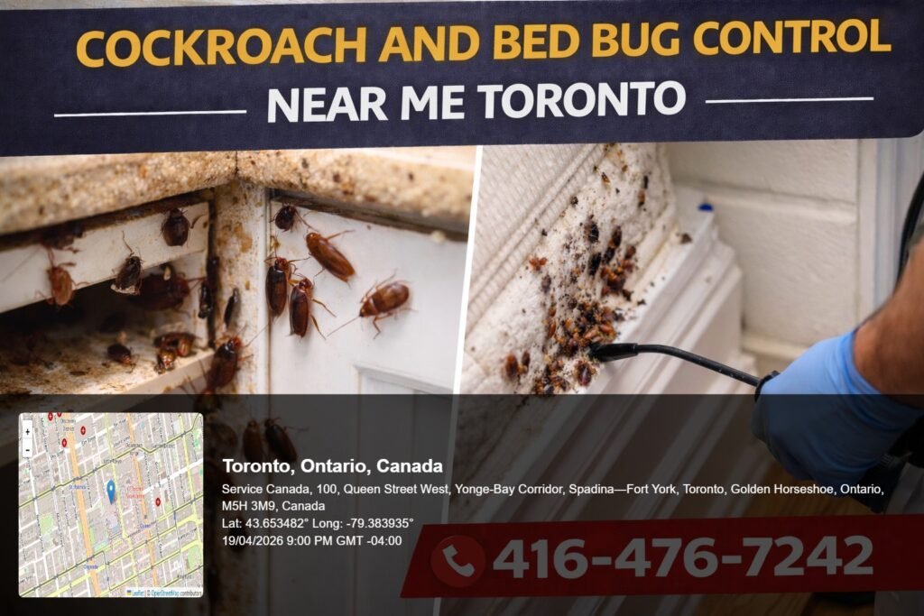 cockroach and bed bug control near me Toronto cockroach infestation in kitchen cabinet with visible pests