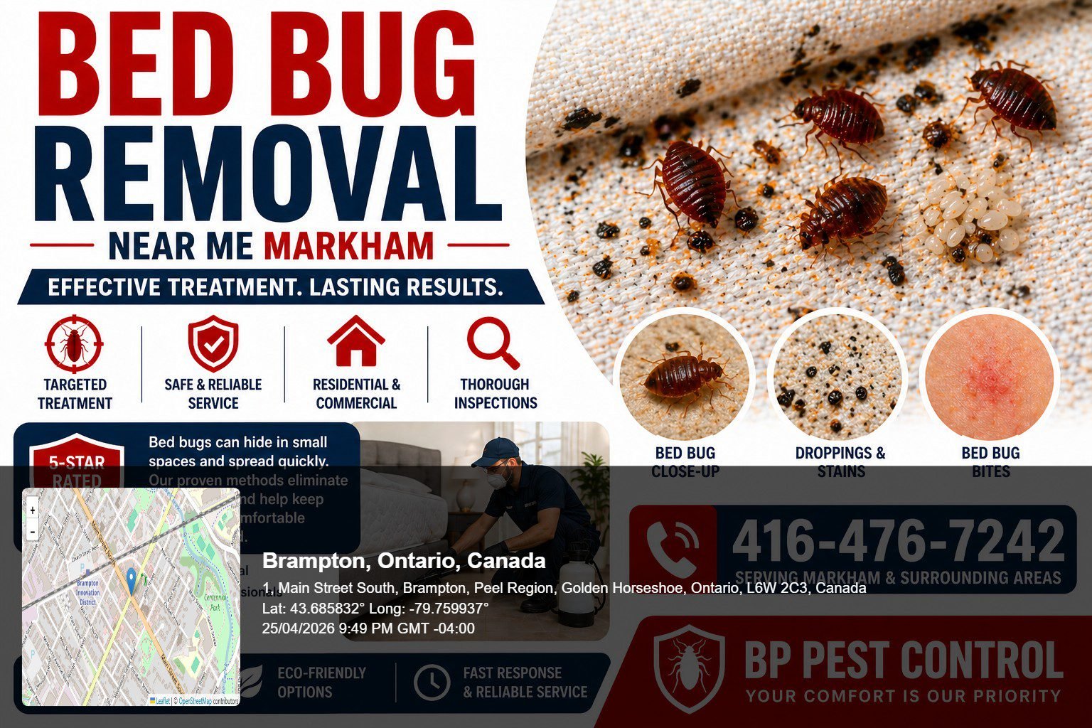 bed bug removal near me Markham close up of bed bugs on mattress seam with visible infestation