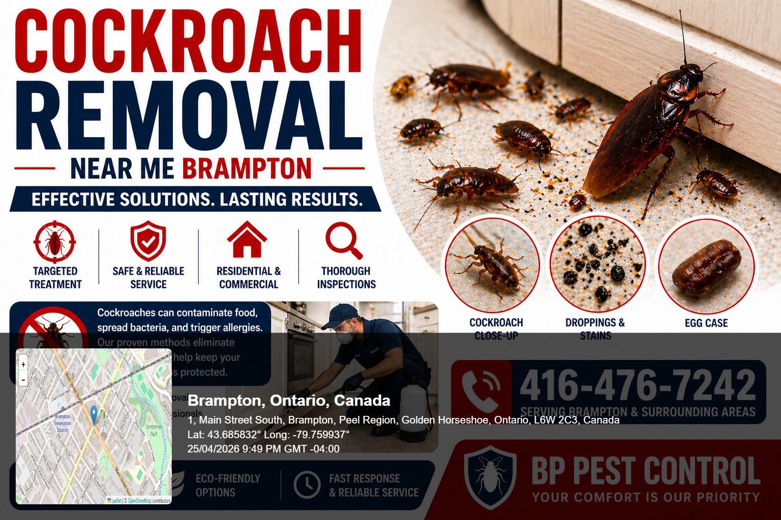 cockroach removal near me Brampton cockroach infestation in kitchen cabinet with visible pests