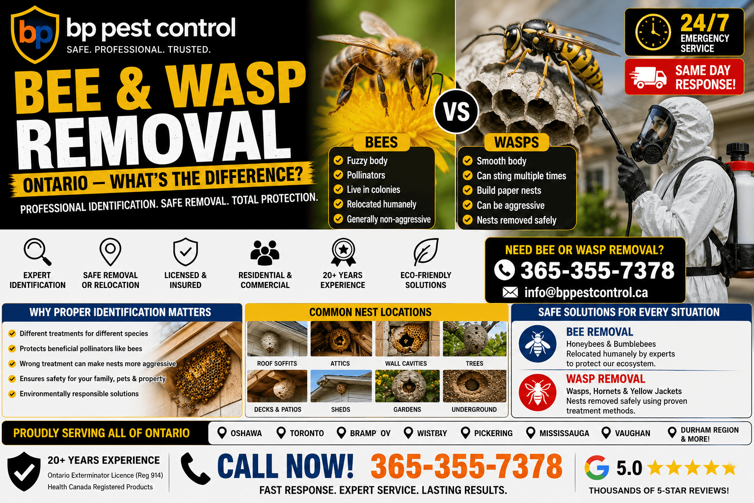 Wasp Nest Removal Whitby technician safely removing an active wasp nest from a residential property
