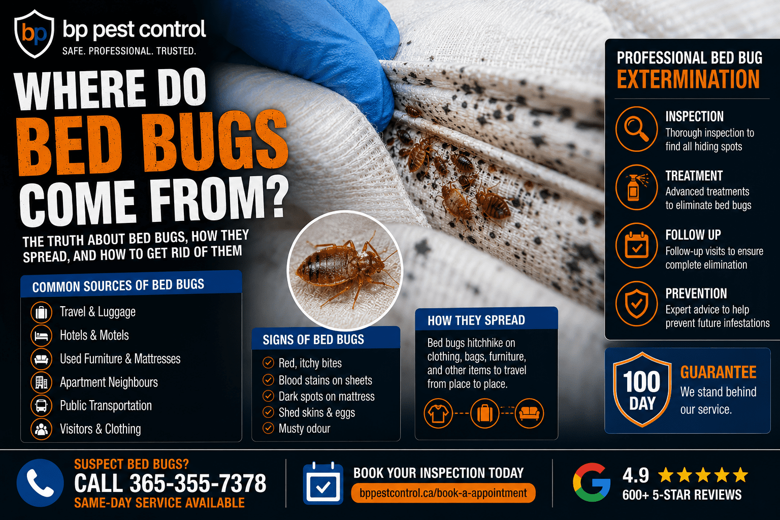 Close-up of bed bugs hiding inside a mattress seam during a professional bed bug inspection by BP Pest Control in Ontario.