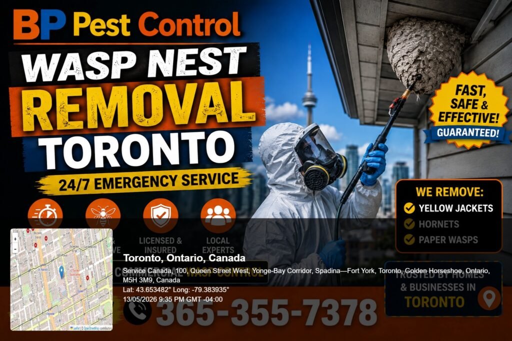 bp pest control licensed technician performing wasp nest removal Toronto on a residential soffit in East York, Ontario