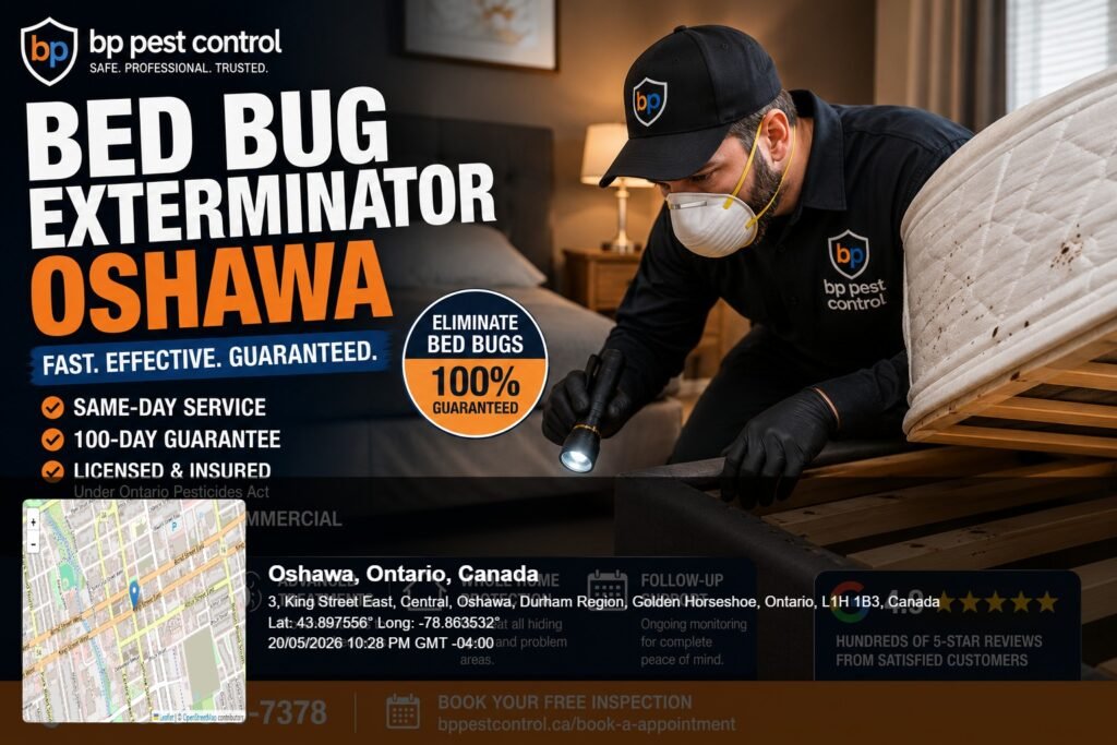 BP Pest Control technician performing professional bed bug exterminator Oshawa treatment inside a residential bedroom.
