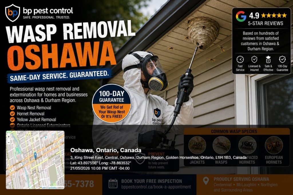 BP Pest Control technician performing professional wasp removal Oshawa service near a residential roof soffit with active hornet nest treatment.