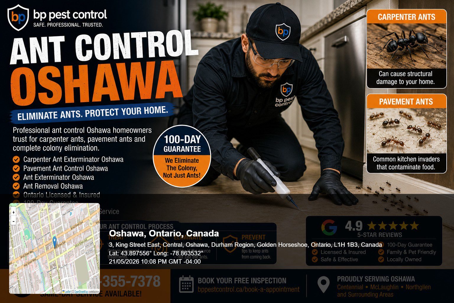 BP Pest Control technician performing professional ant control Oshawa treatment near a residential kitchen and structural carpenter ant infestation area. Ant control oshawa