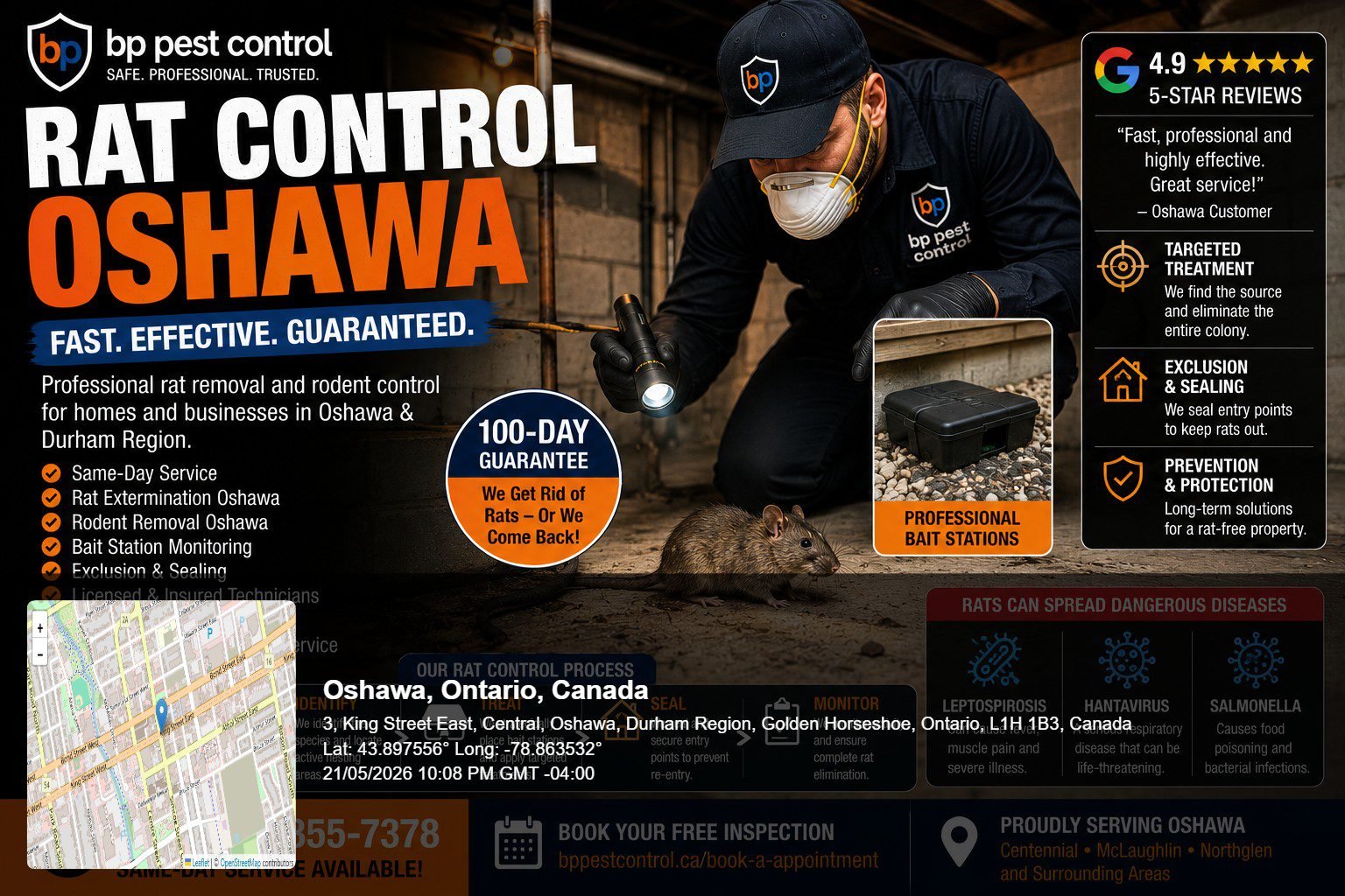 BP Pest Control technician performing professional rat control Oshawa treatment and rodent exclusion service near a residential basement and exterior bait station.
