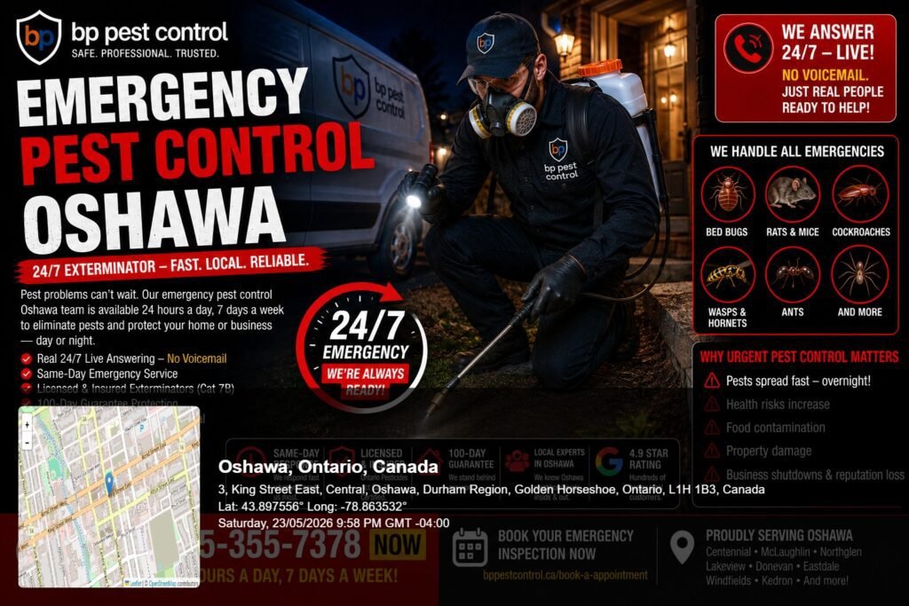 BP Pest Control technician performing emergency pest control Oshawa treatment at night with professional extermination equipment and emergency response vehicle nearby.