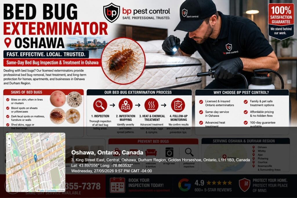 Professional bed bug exterminator Oshawa technician from BP Pest Control inspecting a mattress for bed bugs during a same-day bed bug inspection in Oshawa Ontario.