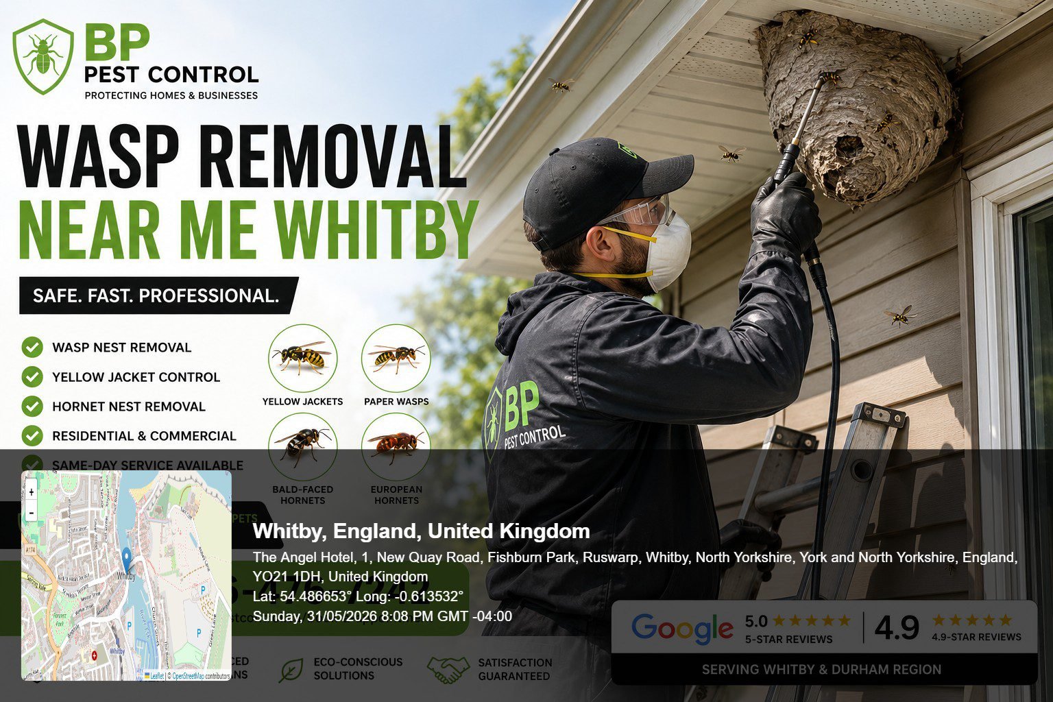 Wasp removal near me Whitby technician safely removing a large wasp nest from a residential property in Whitby Ontario.