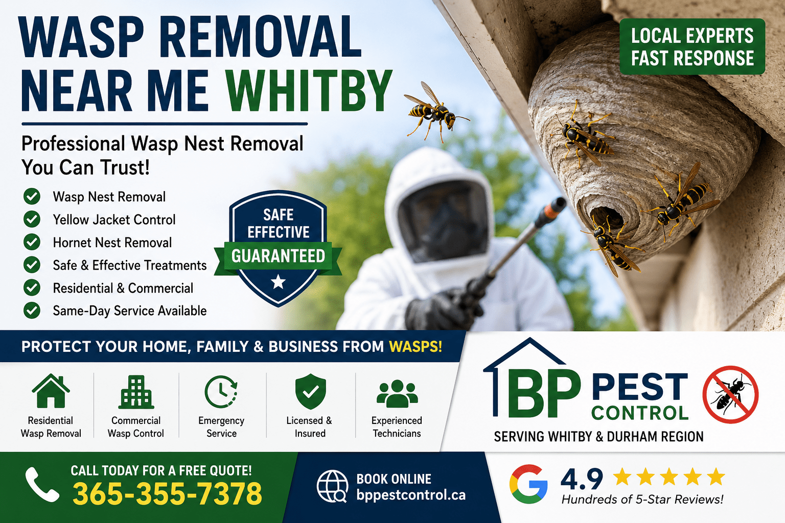 Wasp removal near me Whitby with professional wasp nest removal and hornet control services.