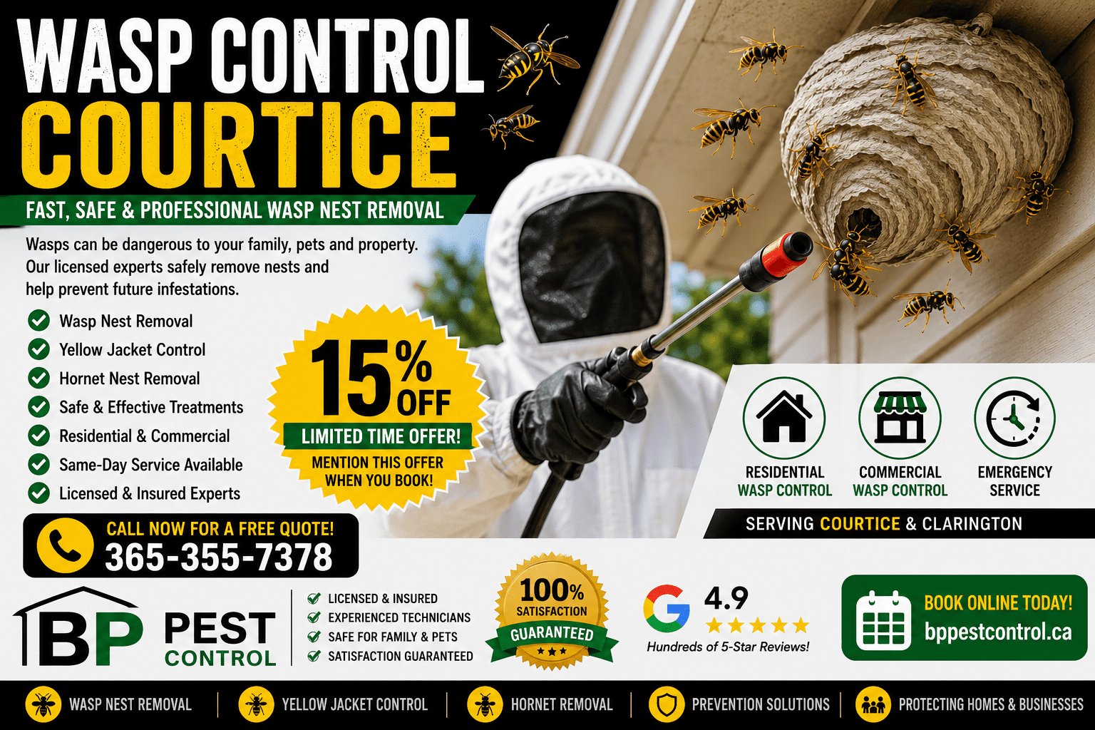 Wasp control Courtice with professional wasp nest removal and hornet extermination services.