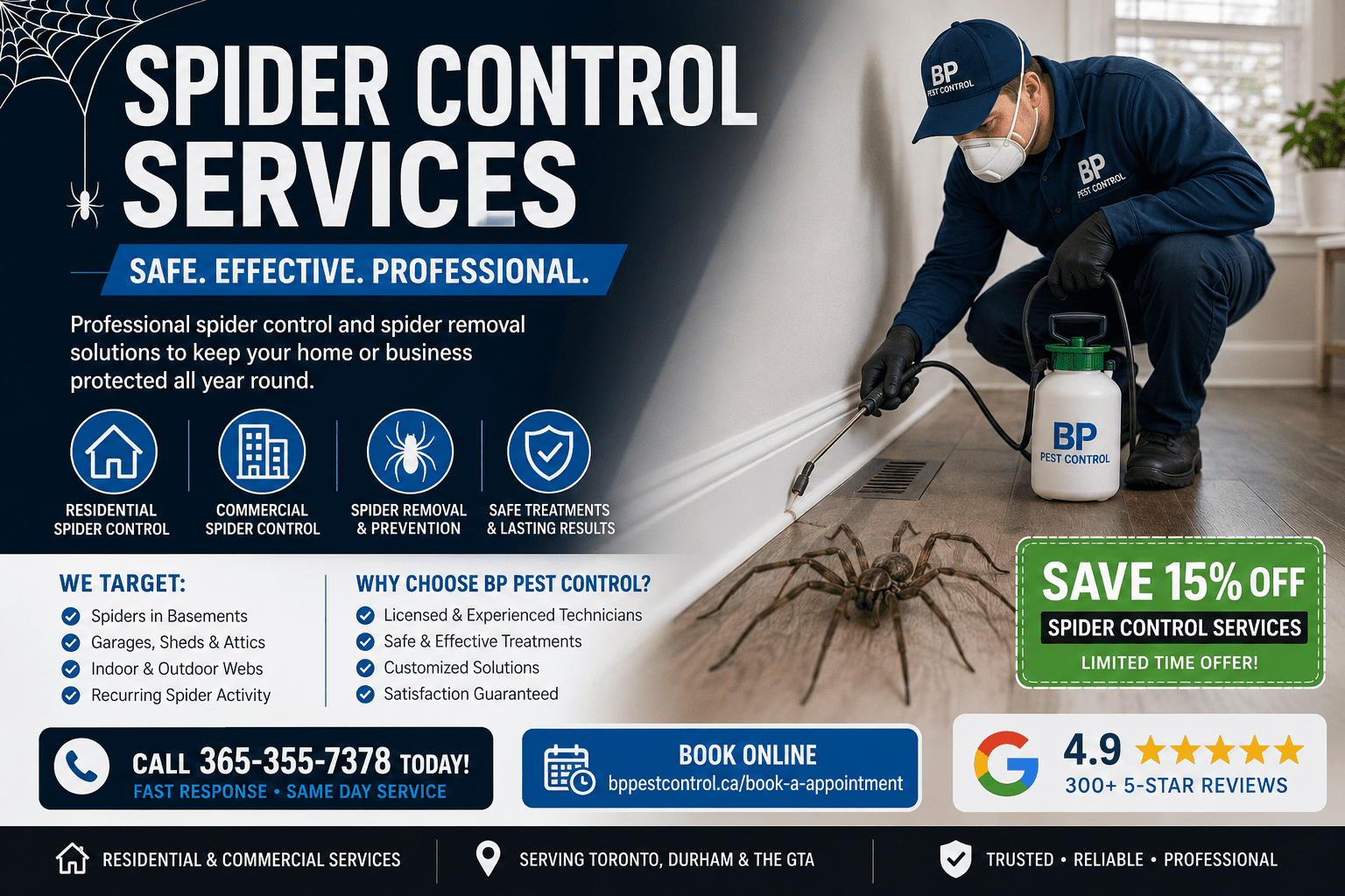 Professional spider control services and spider removal for homes and businesses.