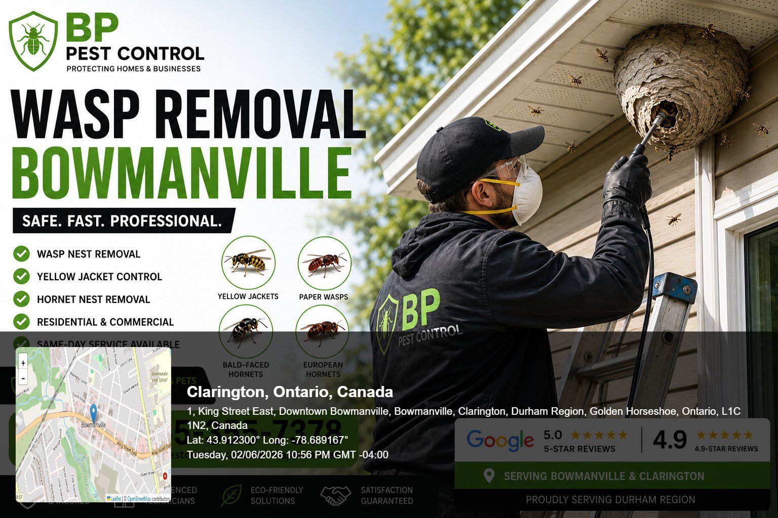 Wasp removal Bowmanville technician safely removing a large wasp nest from a residential property in Bowmanville Ontario.